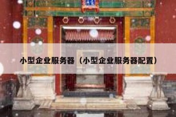 小型企业服务器（小型企业服务器配置）