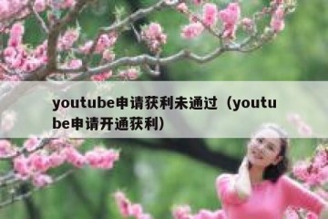 youtube申请获利未通过（youtube申请开通获利）