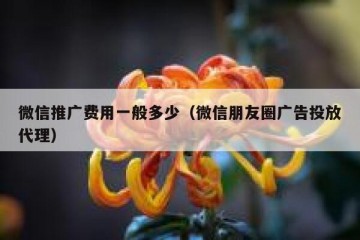 微信推广费用一般多少（微信朋友圈广告投放代理）