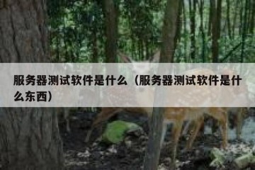 服务器测试软件是什么（服务器测试软件是什么东西）
