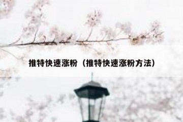 推特快速涨粉（推特快速涨粉方法）