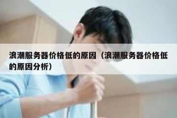 浪潮服务器价格低的原因（浪潮服务器价格低的原因分析）
