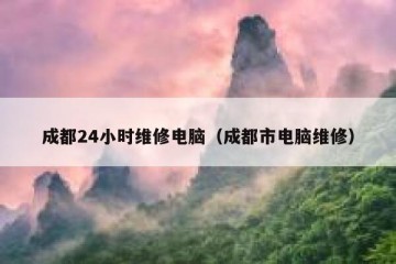 成都24小时维修电脑（成都市电脑维修）