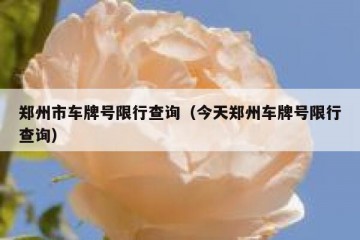 郑州市车牌号限行查询（今天郑州车牌号限行查询）