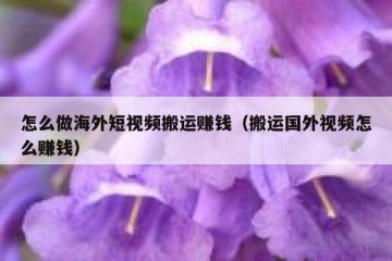 怎么做海外短视频搬运赚钱（搬运国外视频怎么赚钱）