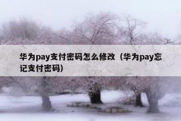 华为pay支付密码怎么修改（华为pay忘记支付密码）