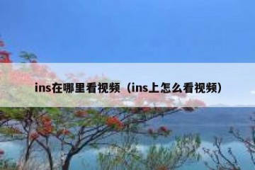 ins在哪里看视频（ins上怎么看视频）