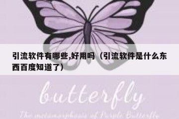 引流软件有哪些,好用吗（引流软件是什么东西百度知道了）