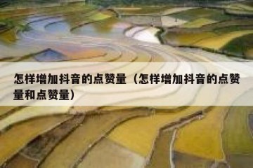 怎样增加抖音的点赞量（怎样增加抖音的点赞量和点赞量）