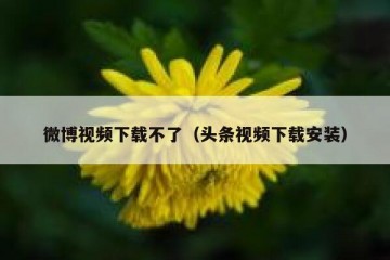 微博视频下载不了（头条视频下载安装）