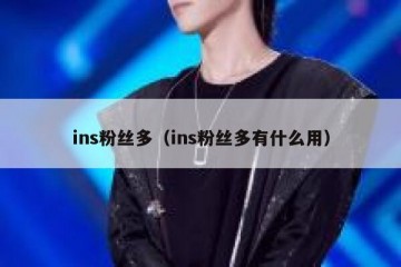 ins粉丝多（ins粉丝多有什么用）