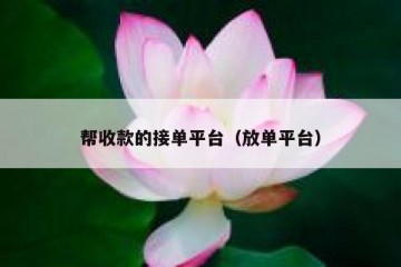 帮收款的接单平台（放单平台）