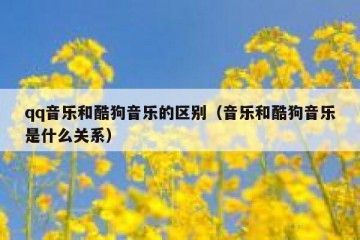 qq音乐和酷狗音乐的区别（音乐和酷狗音乐是什么关系）