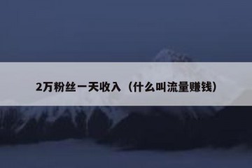 2万粉丝一天收入（什么叫流量赚钱）