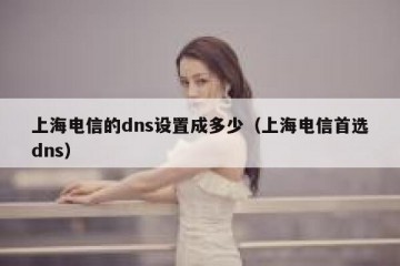 上海电信的dns设置成多少（上海电信首选dns）
