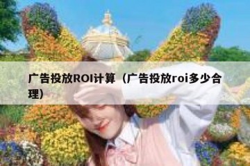 广告投放ROI计算（广告投放roi多少合理）
