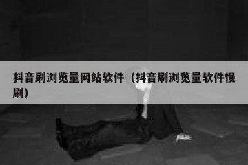 抖音刷浏览量网站软件（抖音刷浏览量软件慢刷）