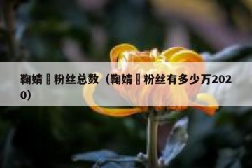 鞠婧祎粉丝总数（鞠婧祎粉丝有多少万2020）
