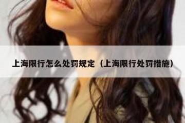 上海限行怎么处罚规定（上海限行处罚措施）