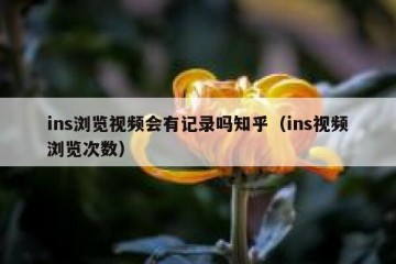 ins浏览视频会有记录吗知乎（ins视频浏览次数）
