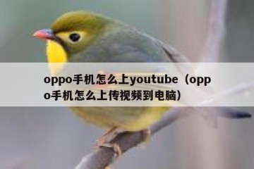 oppo手机怎么上youtube（oppo手机怎么上传视频到电脑）