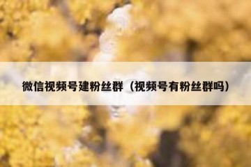微信视频号建粉丝群（视频号有粉丝群吗）