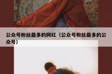 公众号粉丝最多的网红（公众号粉丝最多的公众号）