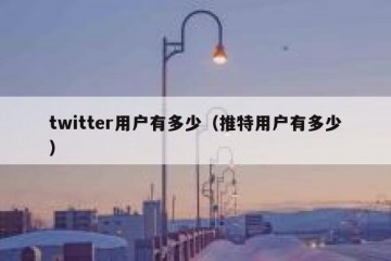 twitter用户有多少（推特用户有多少）
