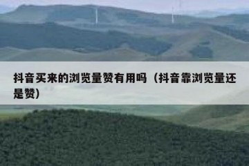 抖音买来的浏览量赞有用吗（抖音靠浏览量还是赞）