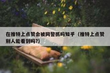 在推特上点赞会被网警抓吗知乎（推特上点赞别人能看到吗?）