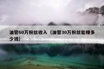油管60万粉丝收入（油管30万粉丝能赚多少钱）