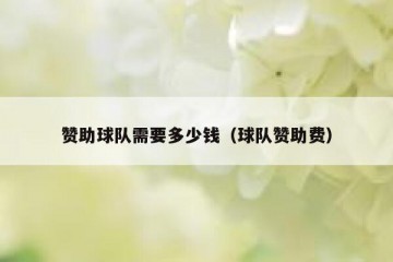 赞助球队需要多少钱（球队赞助费）