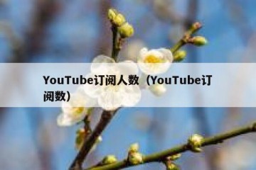 YouTube订阅人数（YouTube订阅数）