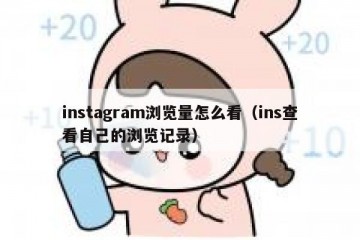 instagram浏览量怎么看（ins查看自己的浏览记录）