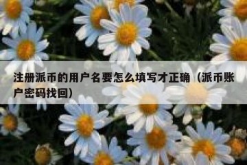 注册派币的用户名要怎么填写才正确（派币账户密码找回）