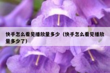 快手怎么看见播放量多少（快手怎么看见播放量多少了）