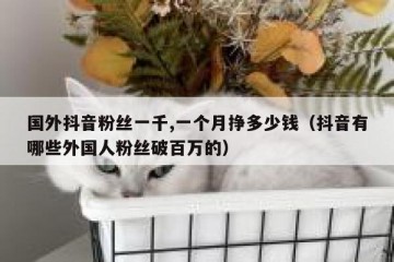 国外抖音粉丝一千,一个月挣多少钱（抖音有哪些外国人粉丝破百万的）