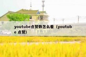 youtube点赞数怎么看（youtube 点赞）
