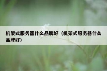 机架式服务器什么品牌好（机架式服务器什么品牌好）