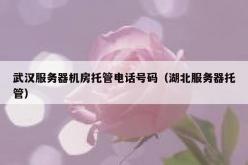 武汉服务器机房托管电话号码（湖北服务器托管）