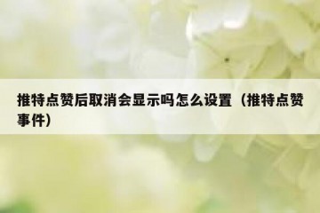 推特点赞后取消会显示吗怎么设置（推特点赞事件）
