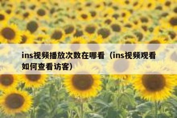 ins视频播放次数在哪看（ins视频观看如何查看访客）