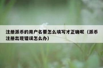 注册派币的用户名要怎么填写才正确呢（派币注册出现错误怎么办）