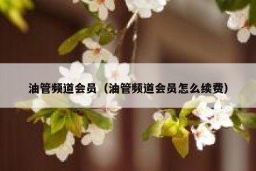 油管频道会员（油管频道会员怎么续费）