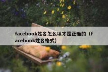 facebook姓名怎么填才是正确的（facebook姓名格式）