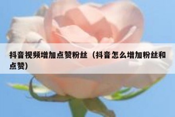 抖音视频增加点赞粉丝（抖音怎么增加粉丝和点赞）