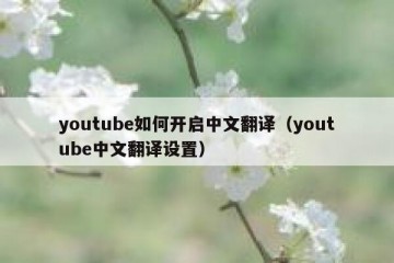 youtube如何开启中文翻译（youtube中文翻译设置）