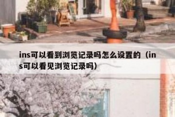 ins可以看到浏览记录吗怎么设置的（ins可以看见浏览记录吗）