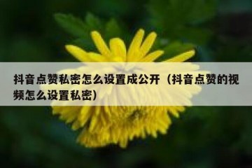 抖音点赞私密怎么设置成公开（抖音点赞的视频怎么设置私密）