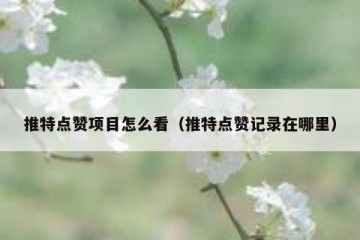 推特点赞项目怎么看（推特点赞记录在哪里）